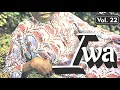 YUSUFU OLATUNJI - "Iwa" (Side 2)