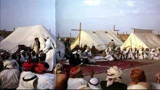 المجموعة   شرتا النسيم البارد دندنها