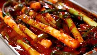 Green Onion Kimchi Pa Kimchi 파김치 