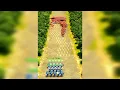 Total Battle War Strategy 2024 Gameplay Walkthrough No Commentary
