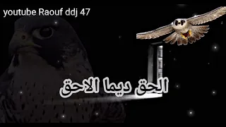 ياولد الزين نسر الصعيد كلمات اغنيةالبداية تتر 