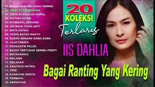 iis dahlia kumpulan lagu dangdut lawas terbaik full album original