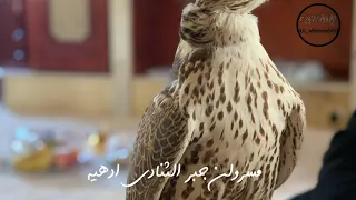 شيلة الزمزميه اداء حمد الخــزيــنه  شيلة الزمزميه اداء حمد الخــزيــنه