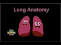 Download Lagu Het lied over de anatomie van de longen