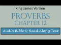 Proverbs 12 KJV DRAMATIZED BIBLE WITH TEXT
