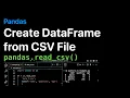 Create Pandas DataFrame from CSV File - Examples ProgramGuru org