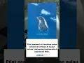 Download Lagu menemukan pulau misterius terletak dilautan terluar indonesia yg berada di kepulauan Riau. #berita