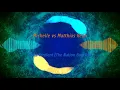 Nicht Verdient (The Nation Bootleg) - Michelle & Matthias Reim【Hands up】【 Free Release】