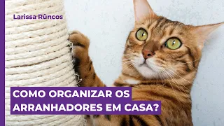 COMO ORGANIZAR OS ARRANHADORES EM CASA?