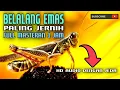 Download Lagu MASTERAN BELALANG EMAS DURASI PANJANG JERNIH DENGAN JEDA #kicaumania #masteran #burungkicau