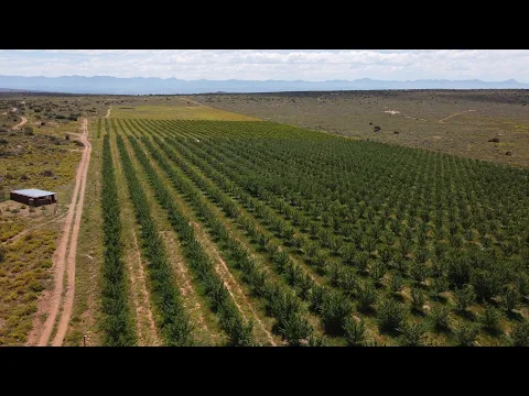 Download MP3 Farm For Sale in Oudtshoorn, South Africa - HD