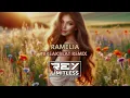 Download Lagu RAMelia [ReyLimitless Breakbeat Remix]