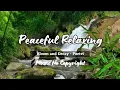 Download Lagu Instrumen Alam dengan Kicauan Burung | Bloom and Decay by Poetri | Music No Copyright