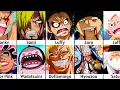 All the Enemies the Straw Hats Defeated And Who Beat Who