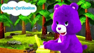 ositos cari ositos toda la m sica de los ositos cari ositos 