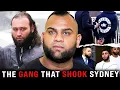 Sydney s Gangland War The Rise and Fall of the KVT Crew