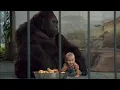 Download Lagu Baby's day out movie funny scene