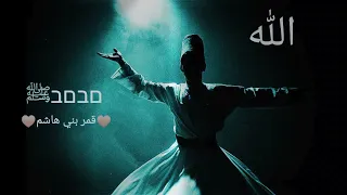 يا قمر بني هاشم قلبي بحبك هايم يا شفيع البرايا سيدي ابو القاسم اناشيد اسلامية اناشيد صوفية Shorts  يا قمر بني هاشم قلبي بحبك هايم يا شفيع البرايا سيدي ابو القاسم اناشيد اسلامية اناشيد صوفية Shorts