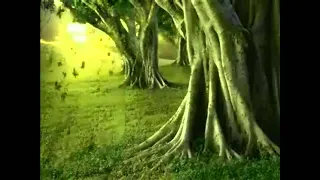 أنا العبد الذي كسب الذنوبا عبدالعزيز الأحمد 