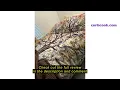 Review AILONEN Tree of Life Duvet Cover Set Queen Size 3 Pieces Bohemian Butterfly Bedding Set for K
