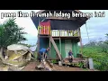 Download Lagu 2 hari berpetualang di rumah ladang bersama istri panen ikan