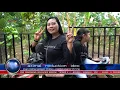 Download Lagu [KEREN BANGET VOKAL CAK DENAN] HADIRMU BAGAI MIMPI