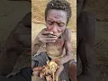 Download Lagu wow!wow! #chaaba #dudukwe #hadzabetribe #foryou #wildlife #safarichanel #africancrazylife #viral