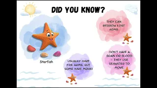 Lunchbox Notes for Kids Printable fun Lunch Facts Childrens Did You Know cards Instant