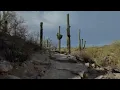 Arizona 2025