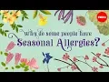 Why do people have seasonal allergies - Eleanor Nelsen