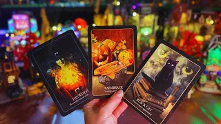 The universe has a treat for you 🍂 + Halloween Village Display! pick a card 