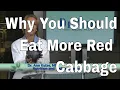Why You Should Eat More Red Cabbage