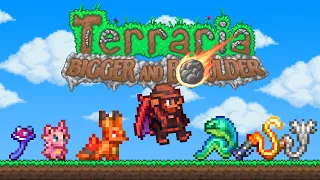 Beating Terraria as the NEW Summoner Class