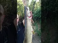 Download Lagu Terkos turna avı. #pikefishing