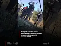 Plantatie de canabis ascunsa printre legume si protejata cu plasa de mascare