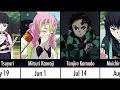 Demon Slayer Character Birt ays comic