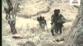 فراديس العشاق ساحات الفداء 