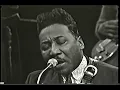 MUDDY WATERS 1966 Got My Mojo Working