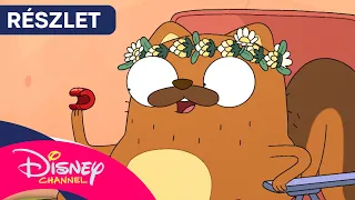 🎞️ Filmsztár | KIFF [KLIP] | Disney Csatorna
