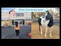 Tractor Supply Horse Shopping Barn Routine Earth and Medicine Equestrian