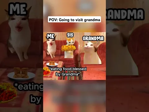 Cat Memes 🤣 going to visit Grandma