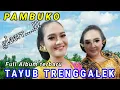 Download Lagu tayub pambuko full album yang enak di dengar wiwit awal sampai akir✓asli tayub trenggalek