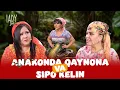 Lagu Anakonda qaynona va sipo kelin... Lady Show