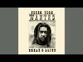 Peter Tosh ~ Reggae Mylitis