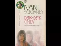 Download Lagu Nani Sugianto ~ jujur