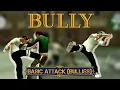Bully - Basic Attack Bullies Style Pack