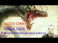 Download Lagu CARA MENGETAHUI LETAK NOGO DINO
