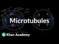 Microtubules Cells MCAT Khan Academy