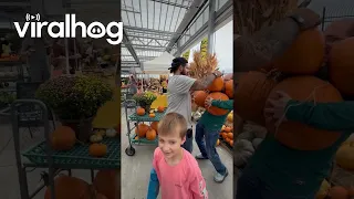 Customers Getting the Most From an All-You-Can-Carry Pumpkin Deal || ViralHog