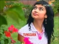 Download Lagu Pop Sunda - Nia Daniaty - Alim Patebih.mpg